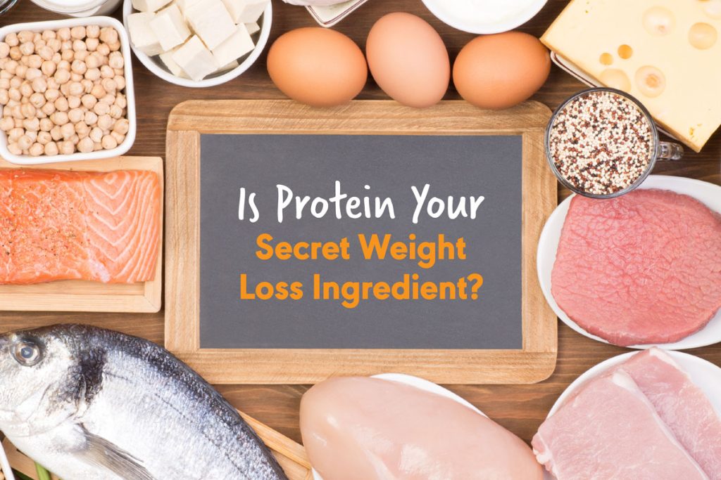 Is Protein Your Secret Weight Loss Ingredient? Healthy Inspirations